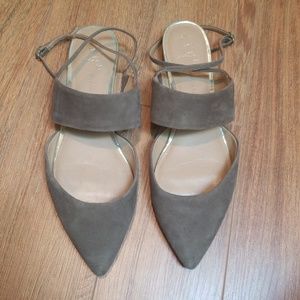 Banana Republic Abilene Pointed Sandal (Suede)